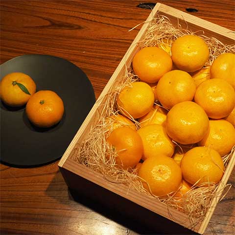 news_20211021_image